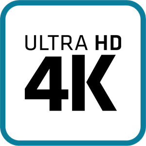 Logo 4K
